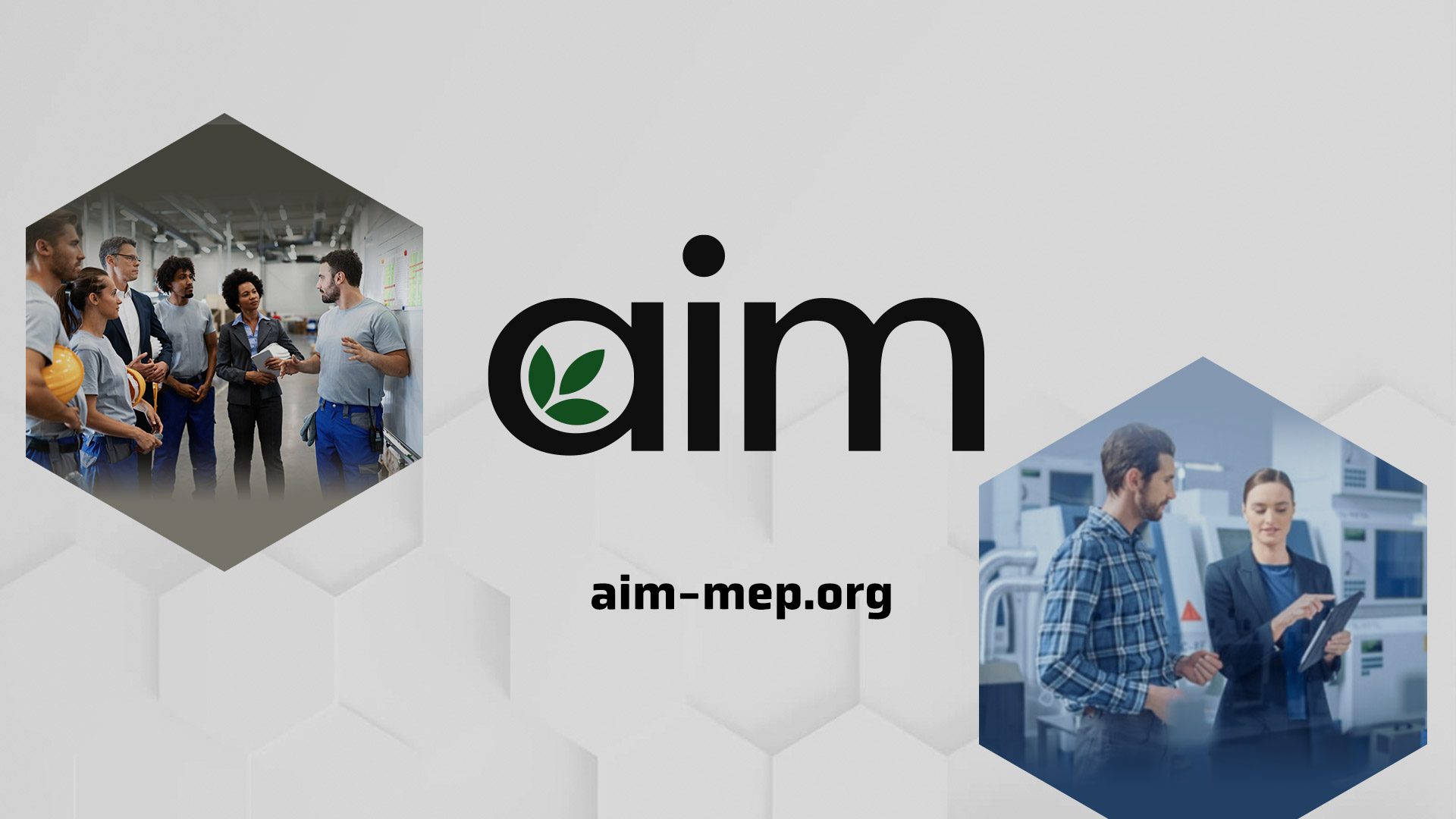 AIM MEP