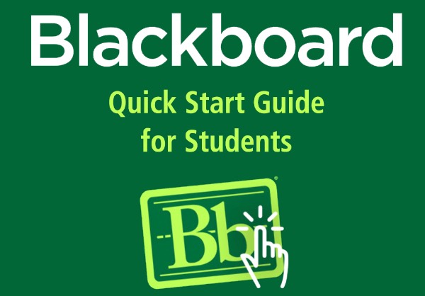 Image: Student Blackboard Guide