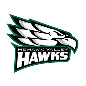 Hawk Logo