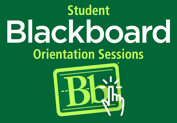 Image: Student Orientation for Brightspace