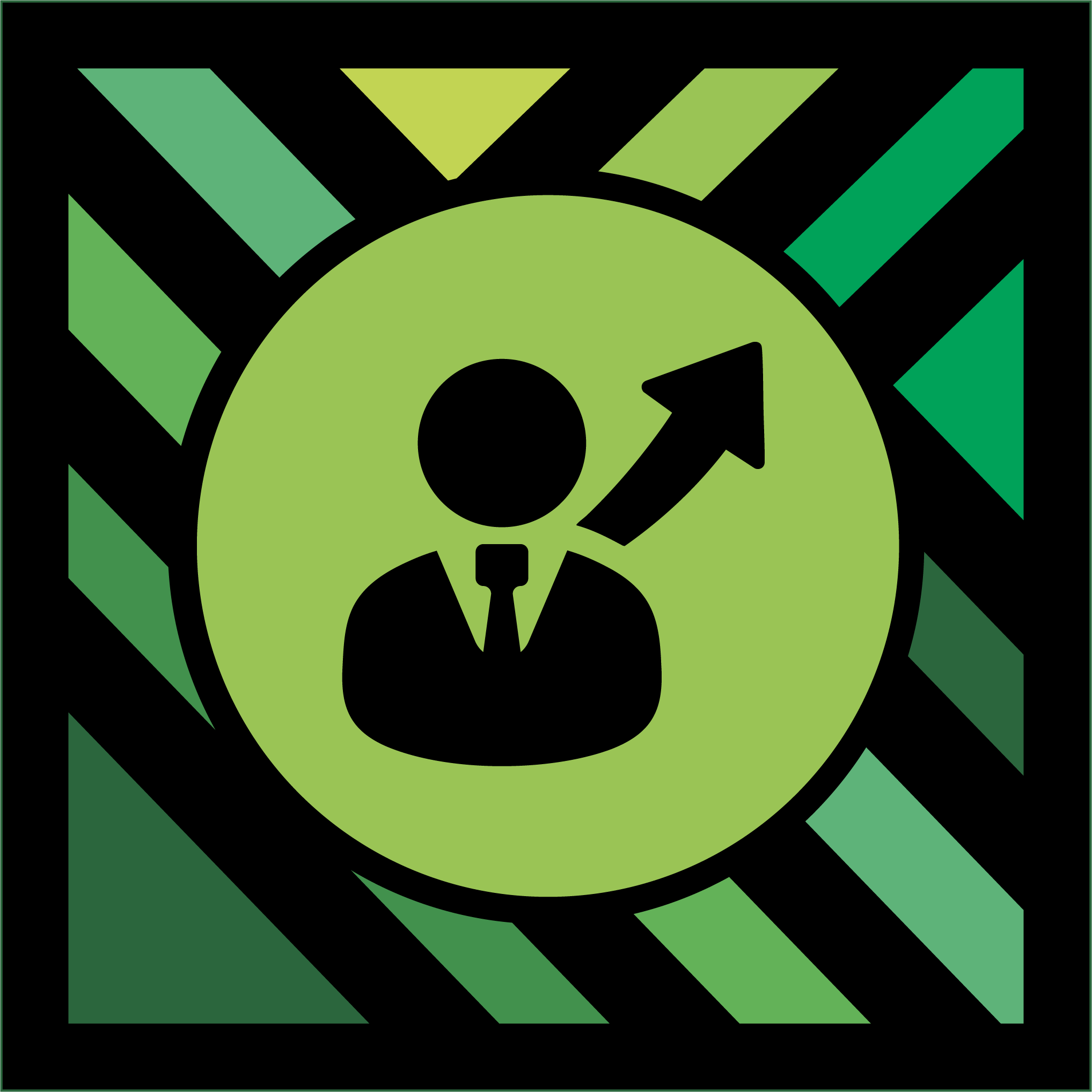 Aspiring Professional